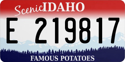 ID license plate E219817
