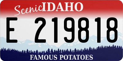 ID license plate E219818