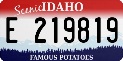 ID license plate E219819