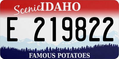 ID license plate E219822