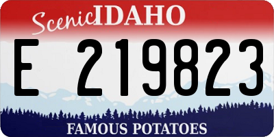ID license plate E219823