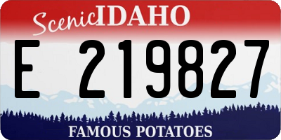 ID license plate E219827