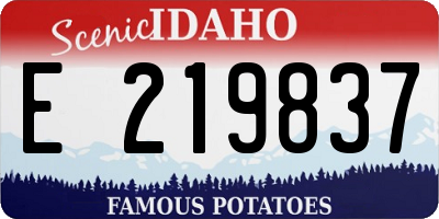 ID license plate E219837