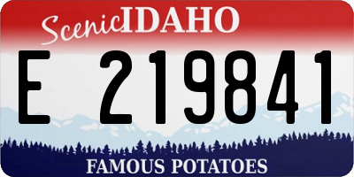 ID license plate E219841