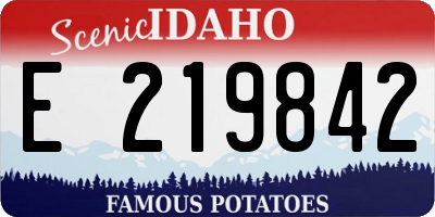 ID license plate E219842