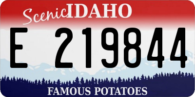 ID license plate E219844