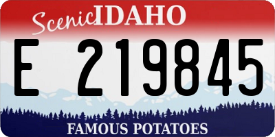 ID license plate E219845