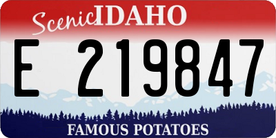 ID license plate E219847