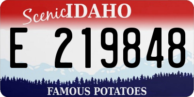 ID license plate E219848