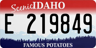 ID license plate E219849