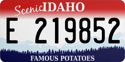 ID license plate E219852