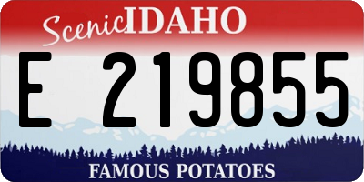 ID license plate E219855