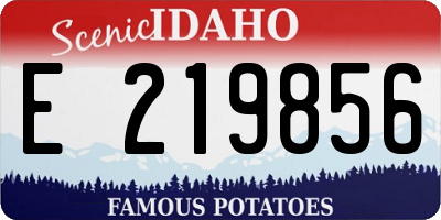 ID license plate E219856