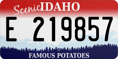 ID license plate E219857