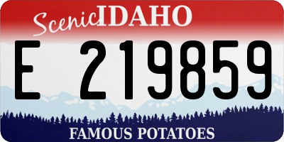 ID license plate E219859