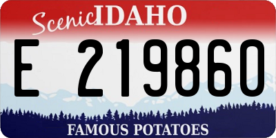 ID license plate E219860