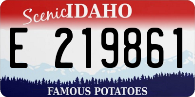 ID license plate E219861