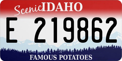 ID license plate E219862