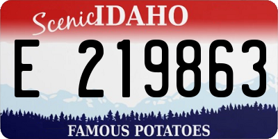 ID license plate E219863