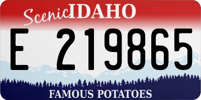 ID license plate E219865