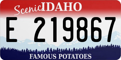 ID license plate E219867