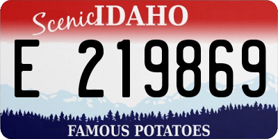 ID license plate E219869