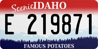 ID license plate E219871