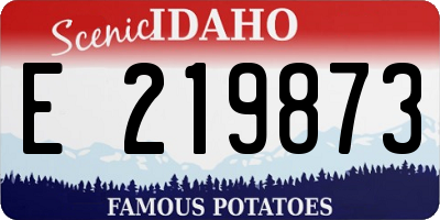 ID license plate E219873