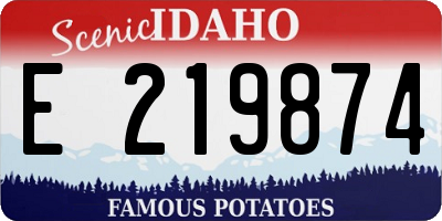 ID license plate E219874