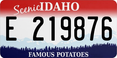 ID license plate E219876