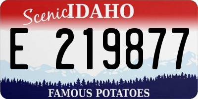 ID license plate E219877