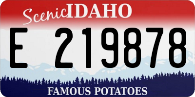 ID license plate E219878