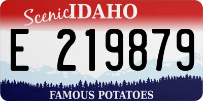 ID license plate E219879