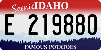 ID license plate E219880