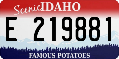 ID license plate E219881