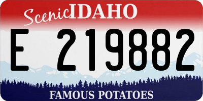 ID license plate E219882