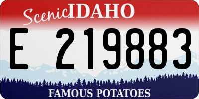 ID license plate E219883