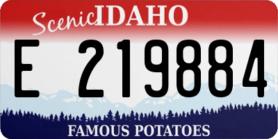 ID license plate E219884