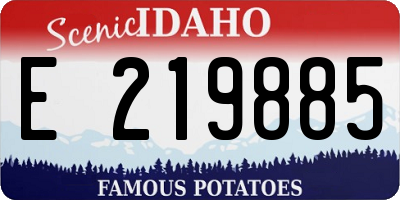 ID license plate E219885