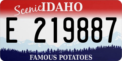 ID license plate E219887