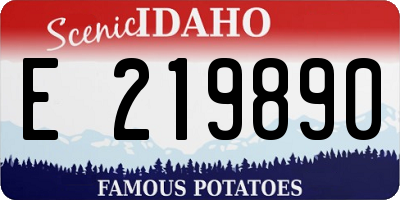 ID license plate E219890