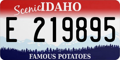 ID license plate E219895