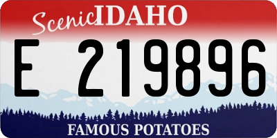 ID license plate E219896