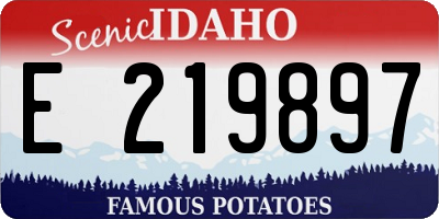 ID license plate E219897