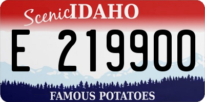 ID license plate E219900