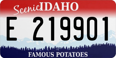ID license plate E219901