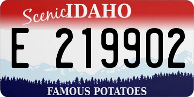 ID license plate E219902