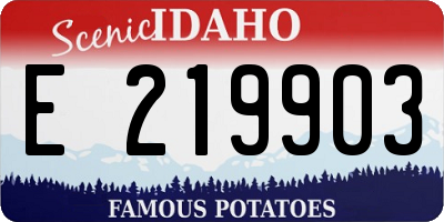 ID license plate E219903
