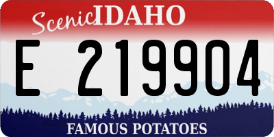 ID license plate E219904