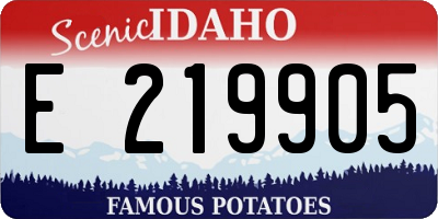 ID license plate E219905